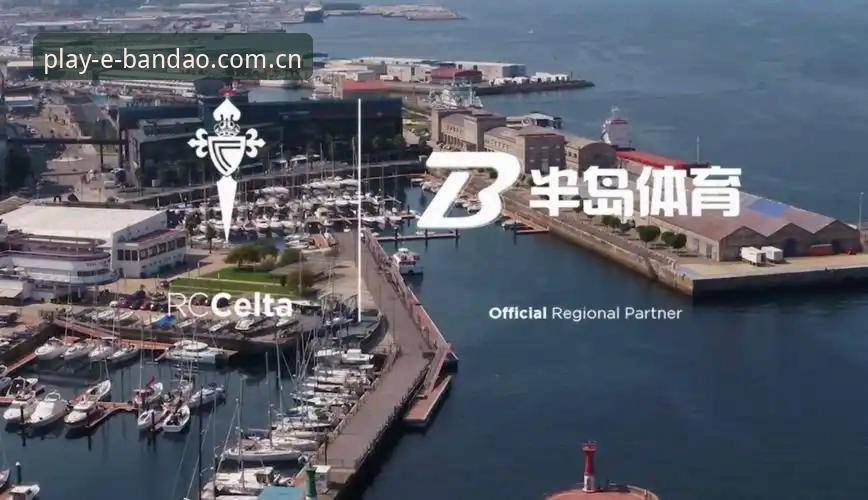 半岛体育手机版使用技巧深度解析：从安装到功能优化的完整评测